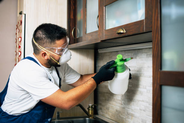 Professional Pest Control in Dunkirk, IN